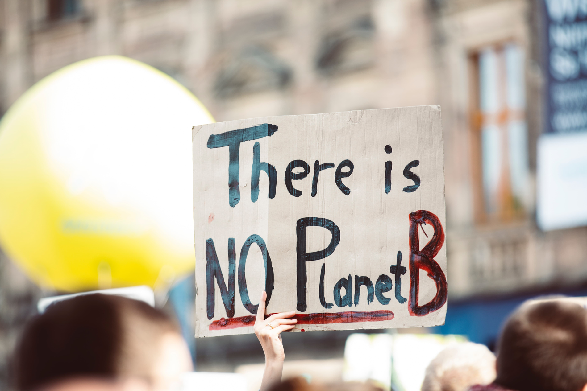 there is no planet B banner